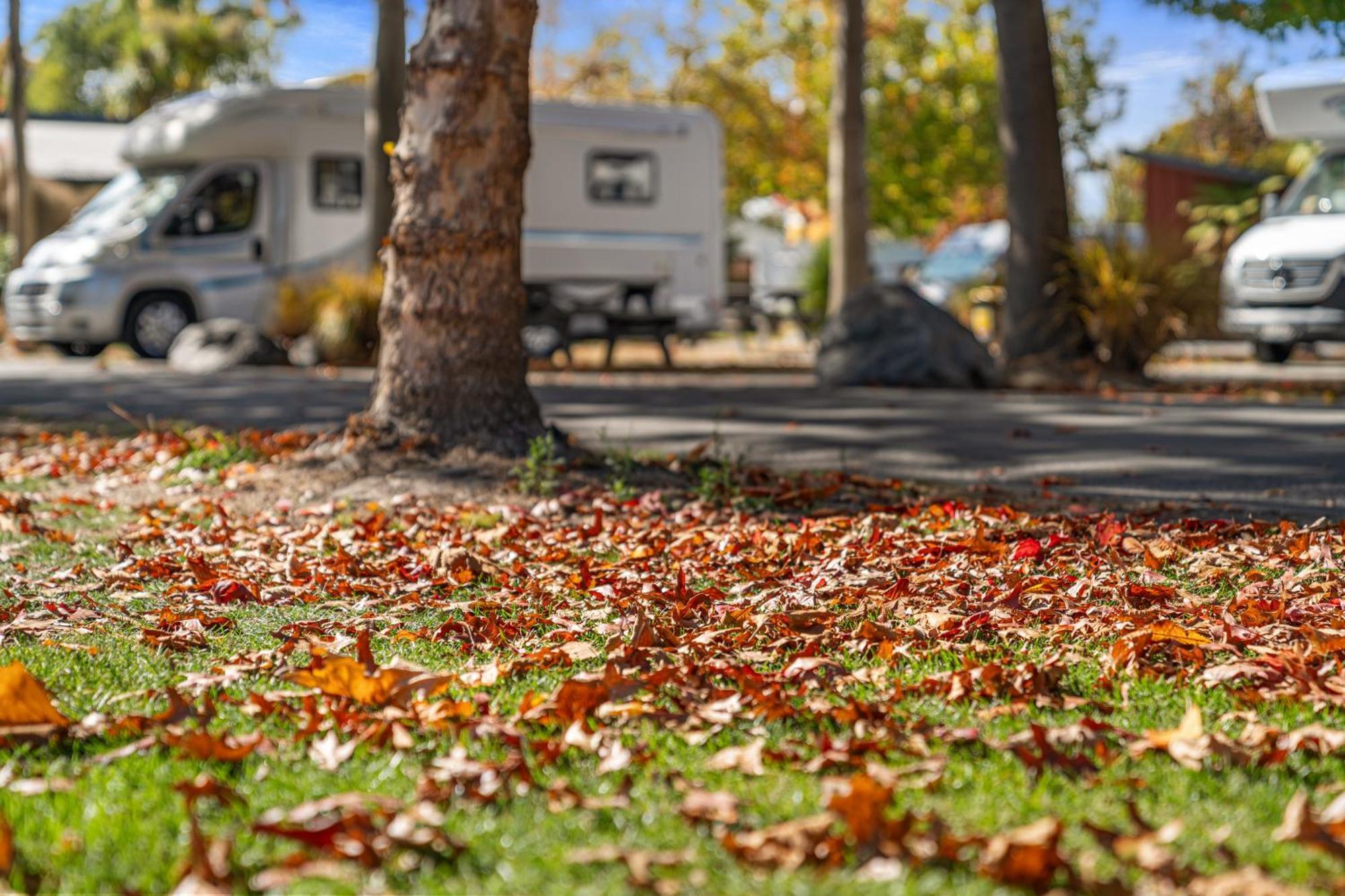 Tasman Holiday Parks - Christchurch Eksteriør billede Autumn leaves on the ground